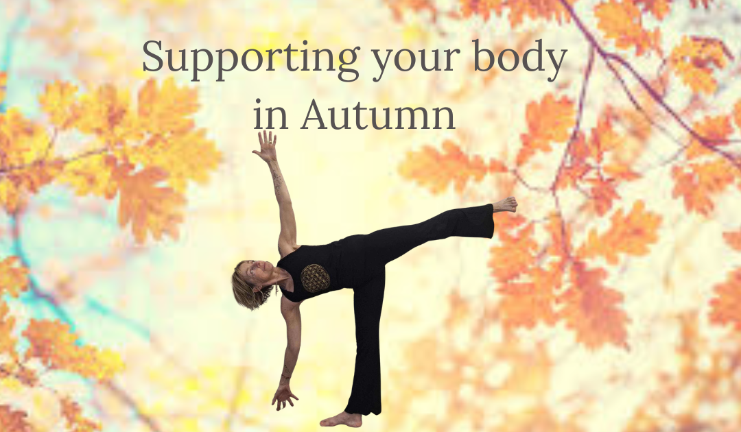Why Your Lymphatic System Is So Important (Especially as We Move Into Autumn)